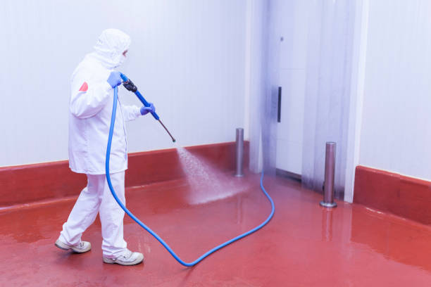 Best Rust Removal  in Milmay, NJ