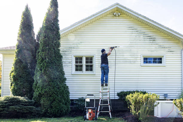 Best Solar Panel Cleaning  in Milmay, NJ